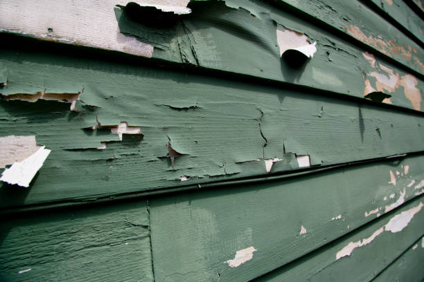 Shed Removal in La Vernia, TX